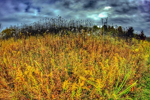 app hdr fisheye 500d 2014 jamiesmed iphoneedit rokinon snapseed handyphoto dslr t1i rebel sky lens wintonwoods prime geotagged geotag skies creepycampout campout manual facebook wide angle landscape hamiltoncounty cincinnati fixed focus ohio midwest october autumn fall canon eos photography clouds clermontcounty queencity celebrate celebration park