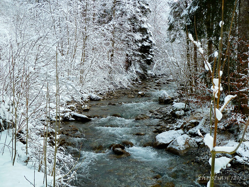 landscape lumix switzerland suisse sony hiver bach neige fribourg paysage freiburg gruyère vallée jaun jogne dmctz10 jaunli