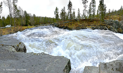 water norway river flow rocks stream waves coniferous precipitation riverbanks haste nordland svenningrud