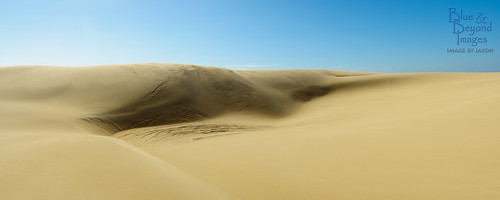 panorama sand nikon country australia nsw newsouthwales sandscape sanddune 2014 landscapephotography stocktonbeach 24120mmf4gvr d800e nikond800e jasonbruth stocktonbeachsanddunes