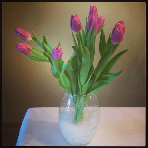 spring forward ...  #yyc #chinook #spring #flowers #tulips #grateful4