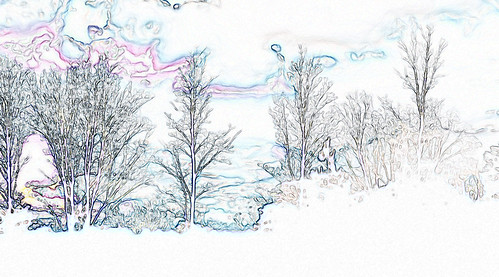 winter tree landscape bare horizon whites wonderland dreamscape