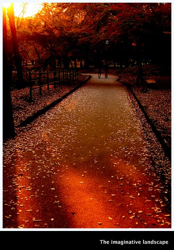 theimaginativelandscape ealabo olympuspenep3 fuwaryôsuke nara yamato japan narapark 大和 奈良公園 dusk nature autumnleaves 奈良