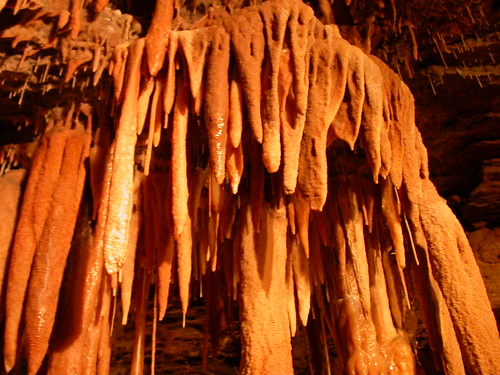 australia victoria caves cave buchan stalactite royalcave