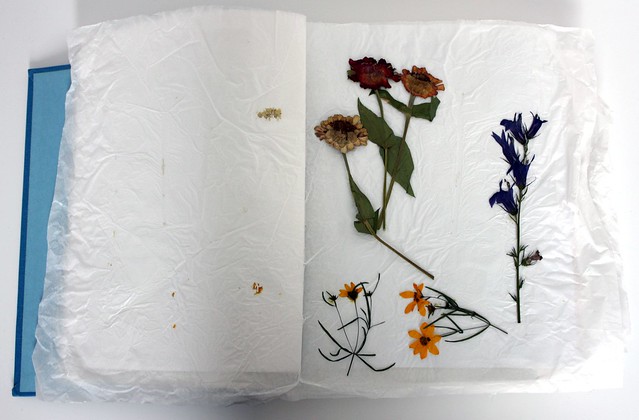 flowers pressed between book pages