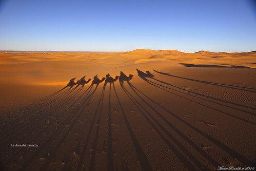 tramonto dune explore marocco deserto merzouga stampa cammelli dromedari