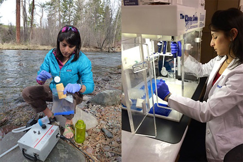 Kellie Carim, eDNA coordinator for the Genomics Center, collects and processes samples. (Photos by Michael Schwartz (left) and Katie Zarn, U.S. Forest Service)
