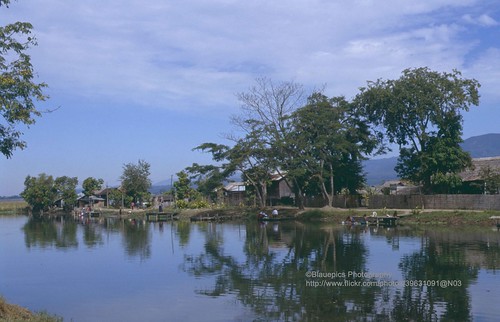 city lake reflection tree water landscape see asia südostasien wasser burma stadt myanmar inle 1992 southeast landschaft birma baum reflektion taunggyi