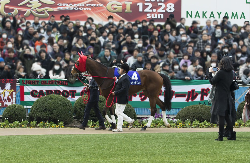 2014.12.28 G1 有馬記念 パドック - ジェンティルドンナ