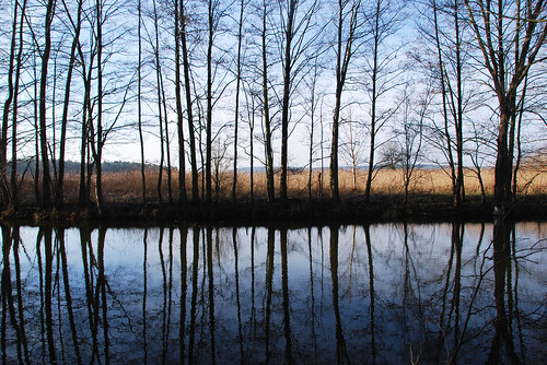 reflection nature germany deutschland natur brandenburg spiegelung sooc nuthetal nuthe nieplitz naturparknuthenieplitz grössinsee