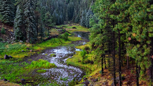 trees arizona nature water forest landscape apache sony wilderness alpha enchanted fineartphotography thewhitemountains fortapacheindianreservation 2470mmf28zassm sonyslta99v
