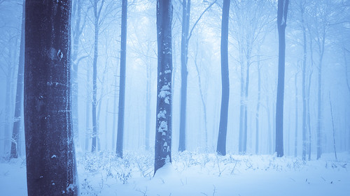 winter mist snow nature landscape mix day czechrepublic morava počasí 2013 zlinregion chřiby krajiny slovácko bunč roštín