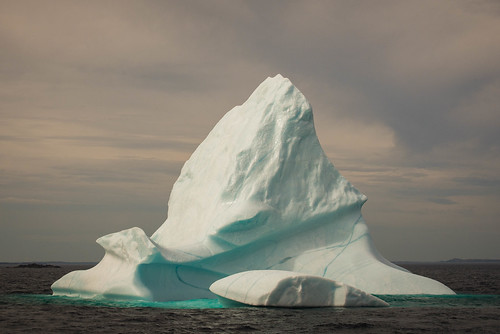 altanticocean fogoisland nikond610 northatlanticocean newfoundland icebergalley canada iceberg ice fogo newfoundlandandlabrador ca
