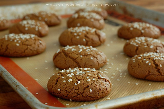Tahini Molasses Cookies :: Grain, Nut, & Refined Sugar Free