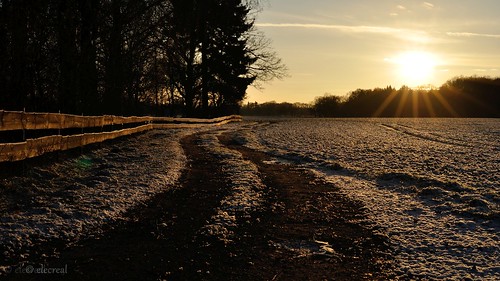 schnee winter sunset snow nature landscape nikon sonnenuntergang natur landschaft mecklenburg karow d90 seenplatte karowermeiler