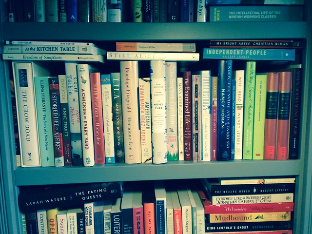 new read-a-shelf