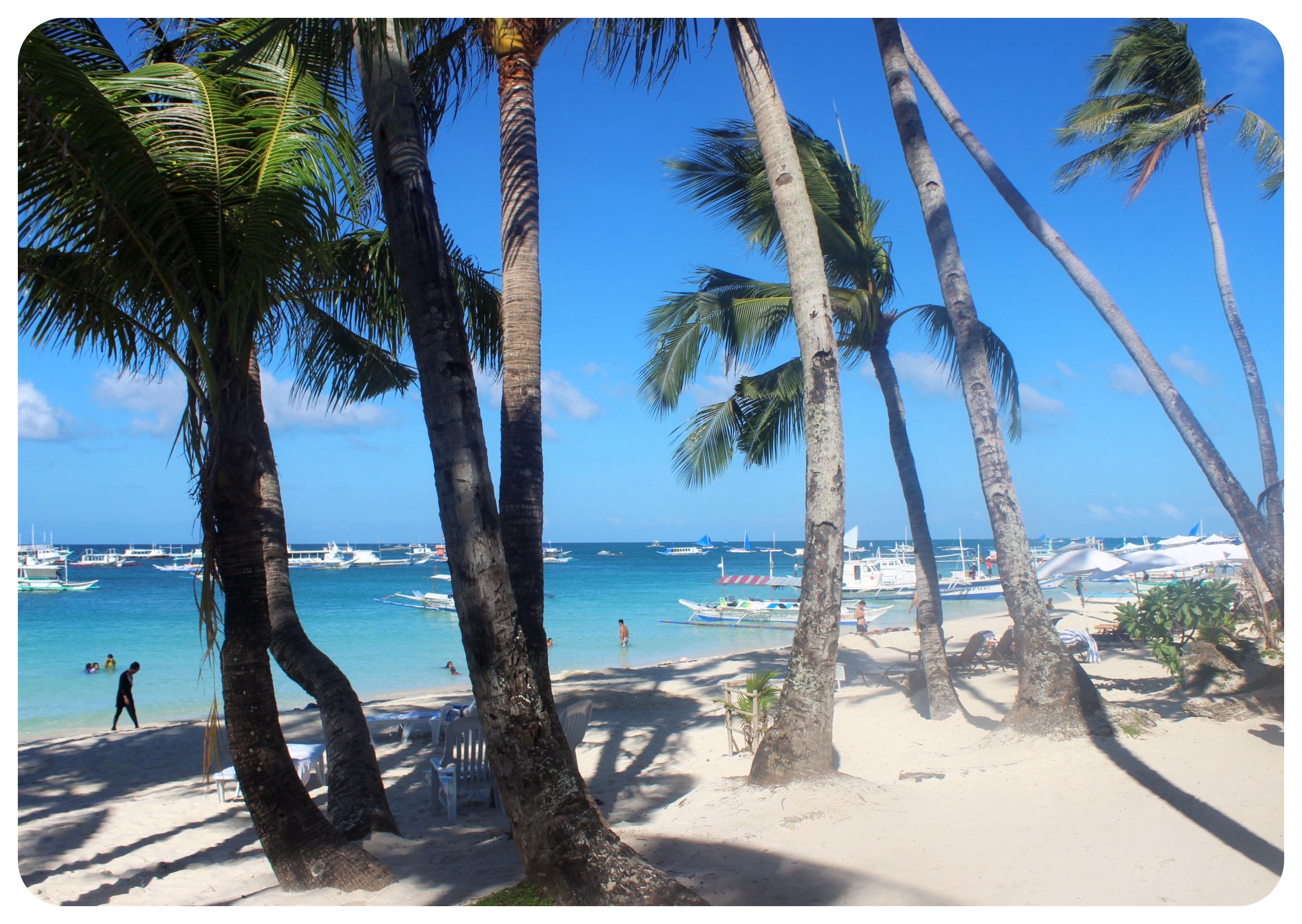 boracay beach palm trees