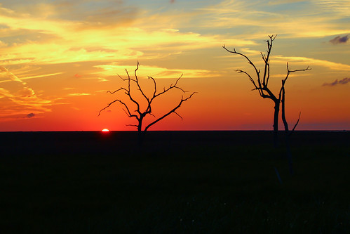 trees sunset canon louisiana coastal wetlands marsh gulfcoast lafourcheparish goldenmeadow canonrebel3ti ilobsterit