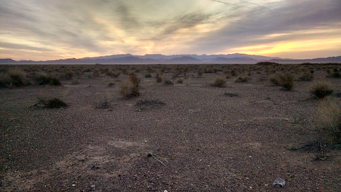 sunrise desert nevada roadtrip nv