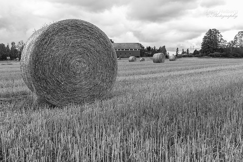 norway countryside samsung hay bales cropland nx1000