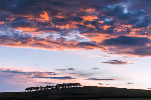 trees clouds sunrise scotland unitedkingdom moray 2016 roseisle