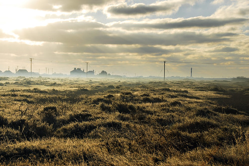 mist landscape kent nikon frost view earlymorning d200 dec14 romneymarsh 18200mmvr lyddonsea kertonroad