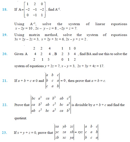 Class 12 Important Questions for Maths - Determinants