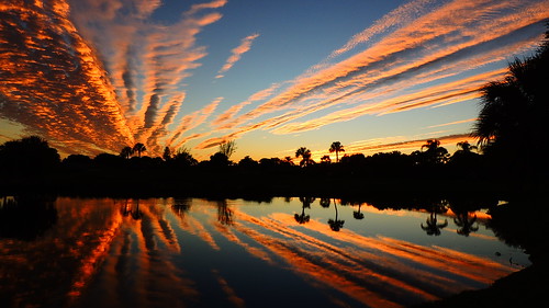 thanksgiving pink sunset red wallpaper sky orange sun lake holiday color reflection fall weather silhouette yellow clouds landscape pond nikon flickr sundown florida dusk coolpix bradenton p510 focuspocus mullhaupt cloudsstormssunsetsandsunrises jimmullhaupt