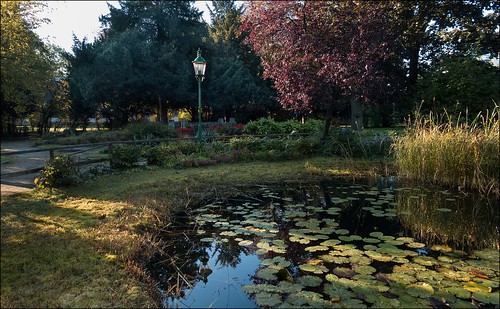 park morning lake sunrise teich landschaft goldenhour stadtpark goldenestunde sonyrx100iii