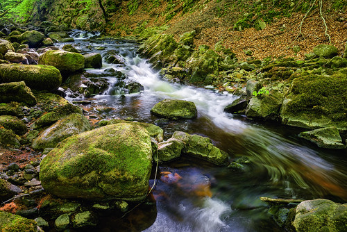 nature creek forest river skåne sweden ravine hdr ravin photomatix linderödsåsen mjöån åbjär