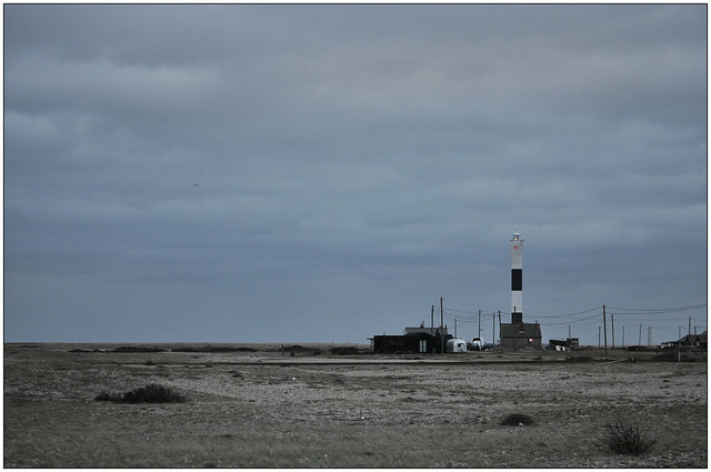 dungeness_2c