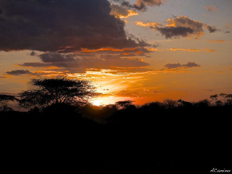 De Monte Kenia al Kilimanjaro. Un viaje agotador de 12 horas. - 12 días de Safari en Kenia: Jambo bwana (27)