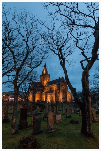 tree church grave graveyard star orkney day wintersolstice short stmagnuscatherdral
