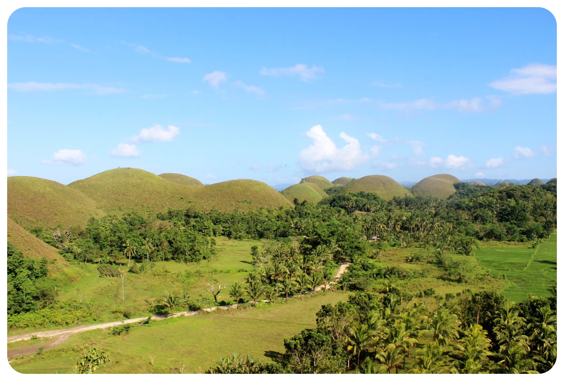 bohol chocolate hills with street philippines