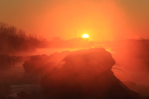 mist fog sunrise river earlymorning 多摩川 朝日 朝霧