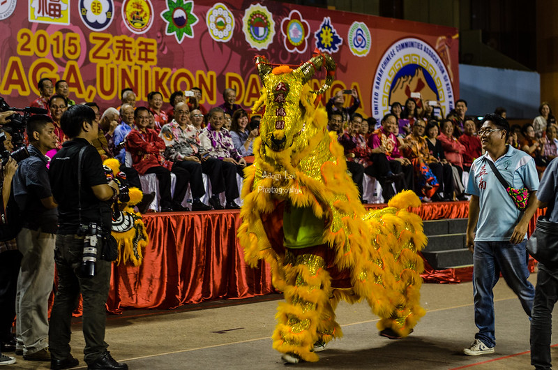 Pesta tarian naga, Unikon dan Singa 2015