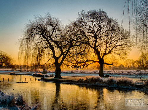 uk winter england colour sunrise landscape photography unitedkingdom hdr bushypark hamptonwick a6000