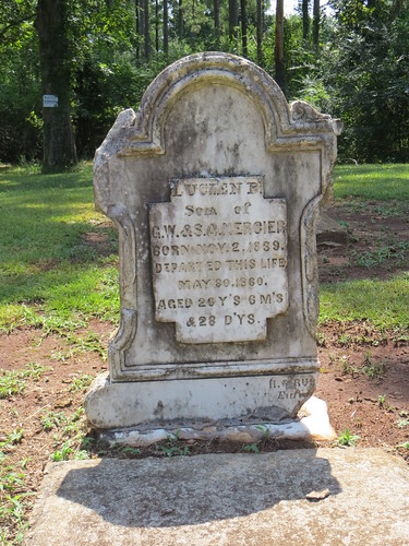 ©lancetaylor posrus georgia earlycounty gravestone headstone
