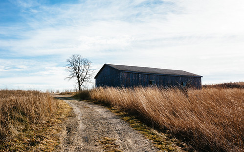 road tree nature wisconsin barn rural landscape outdoors midwest trail horiconmarsh canoneos5dmarkiii sigma35mmf14dghsmart johnwestrock