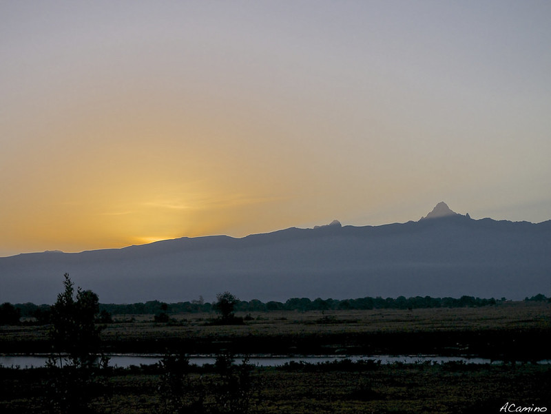 De Monte Kenia al Kilimanjaro. Un viaje agotador de 12 horas. - 12 días de Safari en Kenia: Jambo bwana (1)