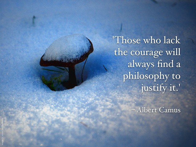 Wednesday Wisdom #24: Courage