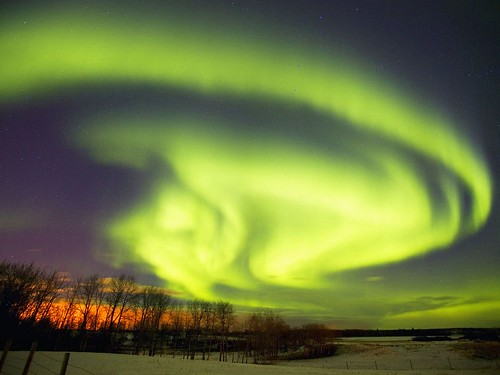 Northern Lights in Winter, Alberta, Canada