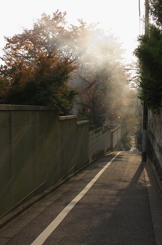 東京路地裏散歩 谷中・上野 2014年11月24日