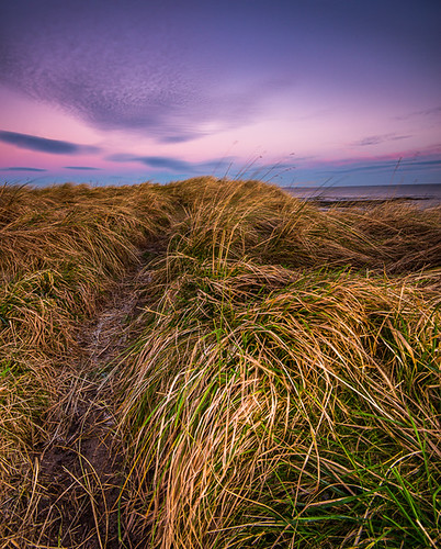 grass sunrise coast dunes northumberland amble hauxley leefilters