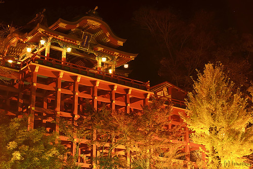 Yutoku Inari Shrine