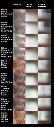 Sony A6000 Nikon Sigma Lens Turbo Bokeh Test