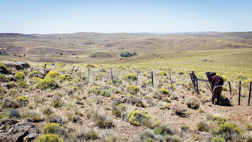 patagonia argentina campo gaucho