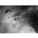 Flying high. Number 2 of my #Black&WhiteChallenge thanks to @jeffrueppel ;) This is fun! #paragliding #india #manali #b&w #redbullillume #adventure #traveldeeper #afar @outsidemagazine @zealoptics @natgeotravel @intrepidtravel @redbullillume