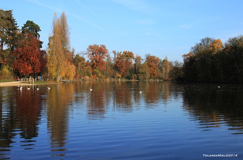 november autumn lake paris reflection fall boisdevincennes sunnyday urbanlake yolandamiel