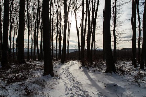 sun snow canon landscape austria niederösterreich loweraustria sanktandräwördern